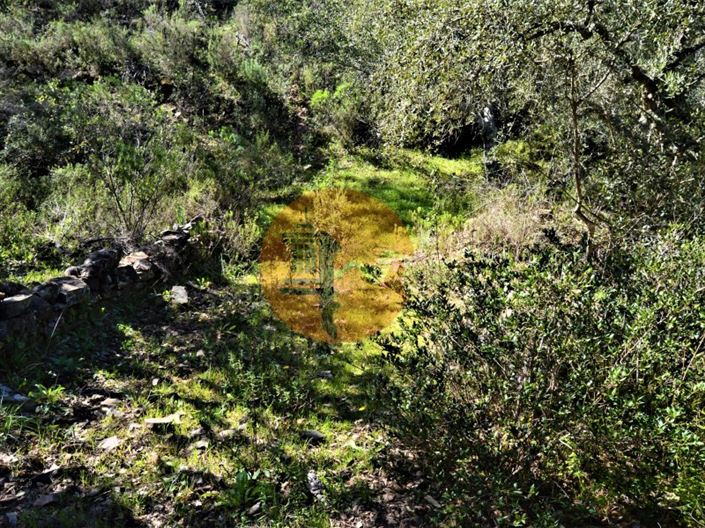 Image No.4-Terrain à vendre à Tavira