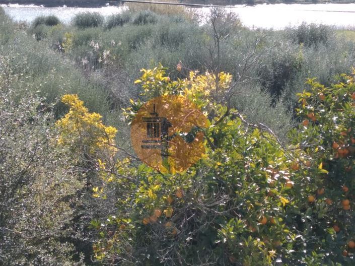 Image No.12-Terrain à vendre à Castro Marim