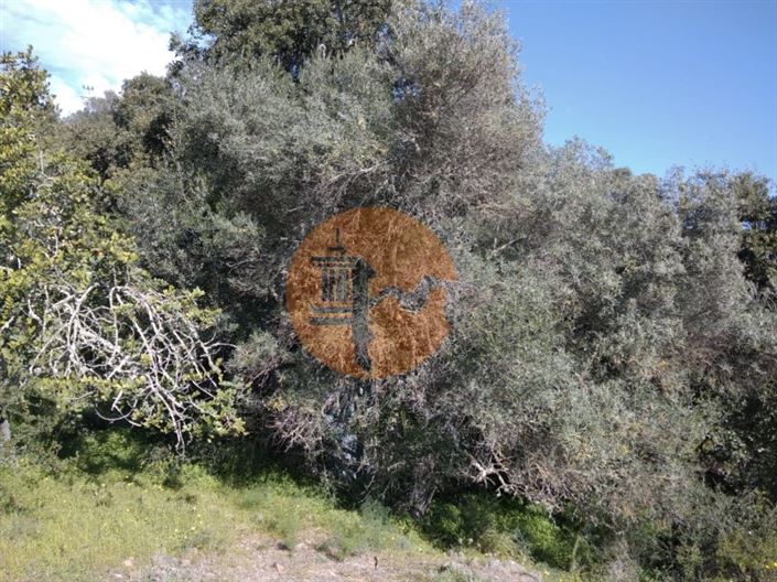 Image No.13-Terrain à vendre à Castro Marim