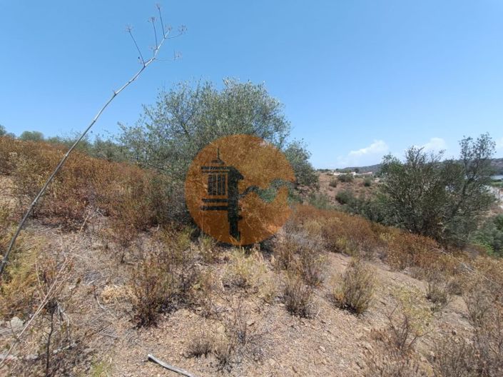 Image No.22-Plot for sale