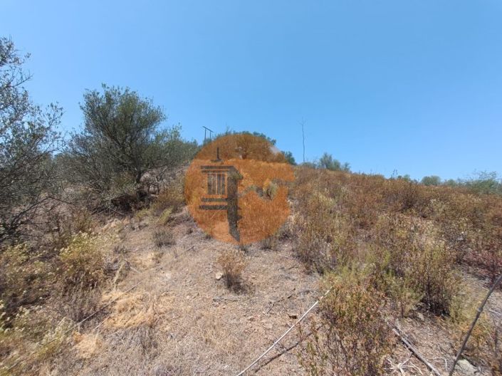 Image No.25-Plot for sale