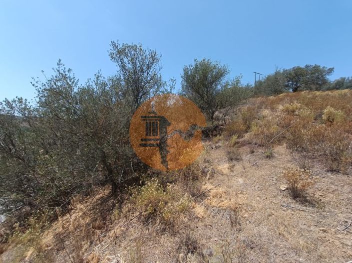 Image No.27-Plot for sale