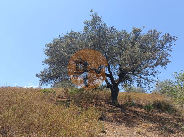 Image No.32-Plot for sale