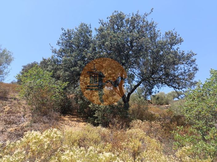 Image No.33-Plot for sale