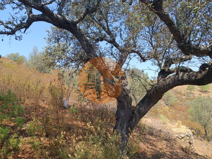 Image No.4-Plot for sale