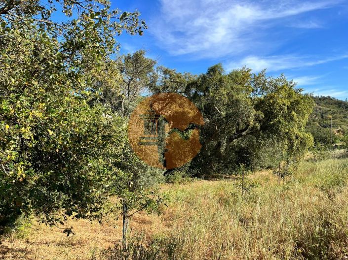 Image No.10-Plot for sale