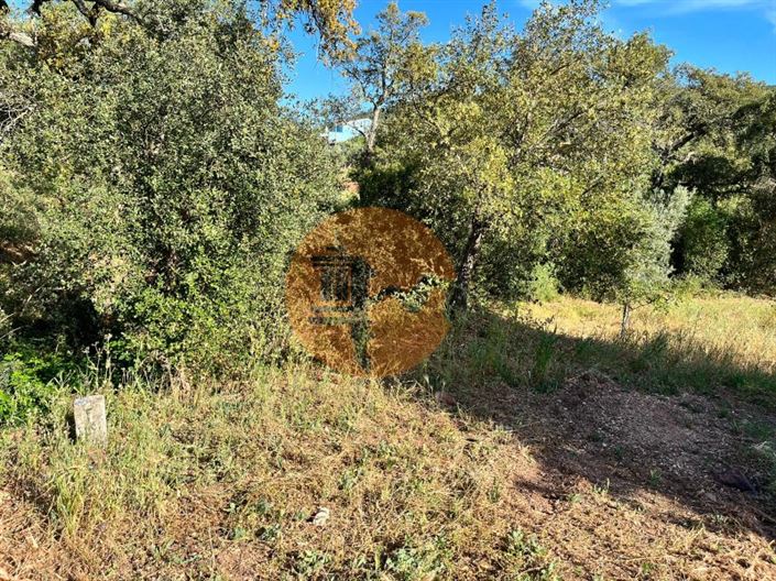 Image No.11-Plot for sale