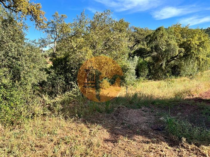 Image No.9-Plot for sale