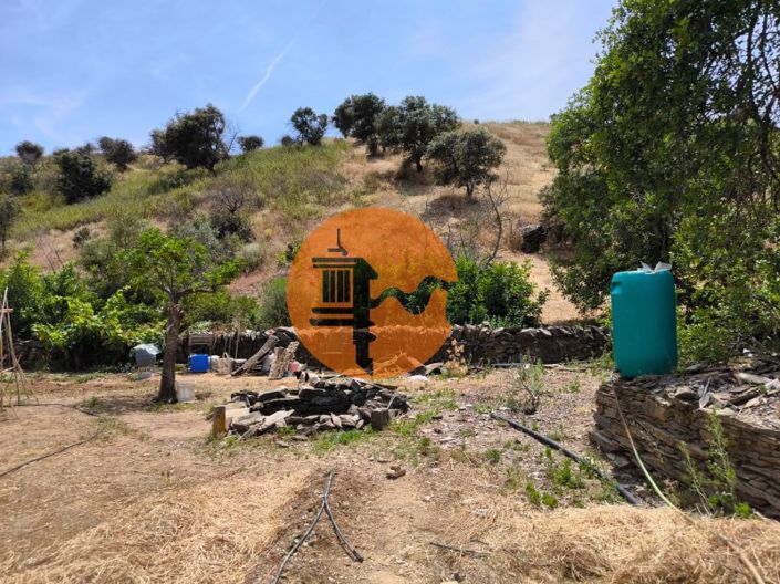 Image No.13-Plot for sale