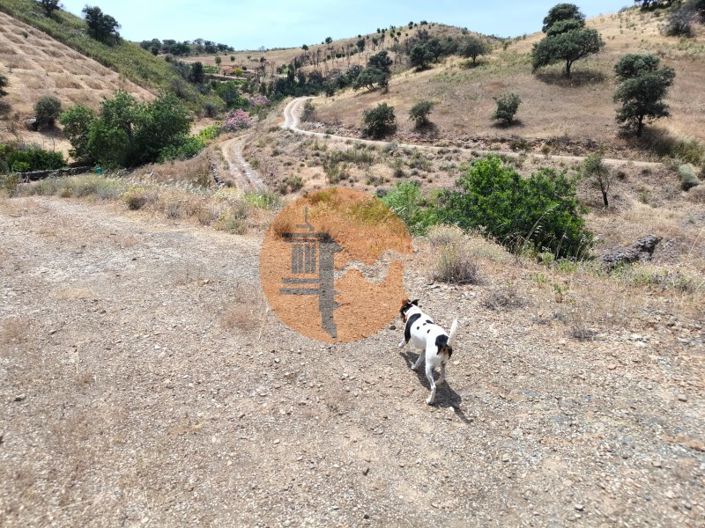 Image No.18-Plot for sale