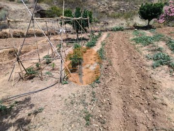 ide80b5001-0000-0500-0000-000015e23e4b