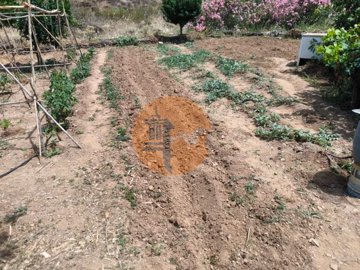 ide80b5001-0000-0500-0000-000015e23e4c