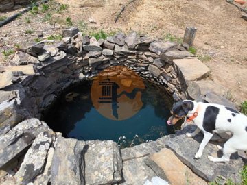 ide80b5001-0000-0500-0000-000015e23e4d