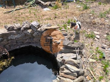 ide80b5001-0000-0500-0000-000015e23e52