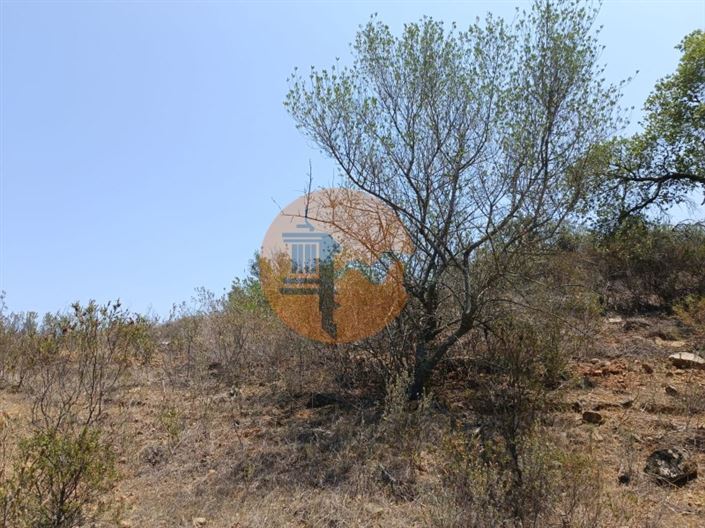 Image No.11-Plot for sale