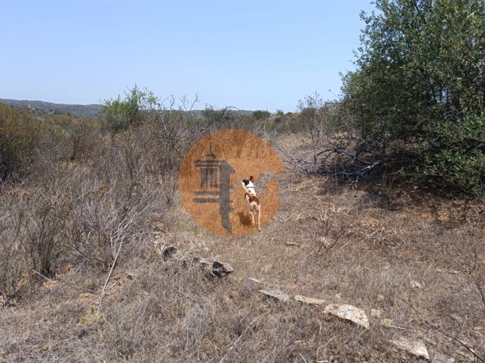 Image No.13-Plot for sale