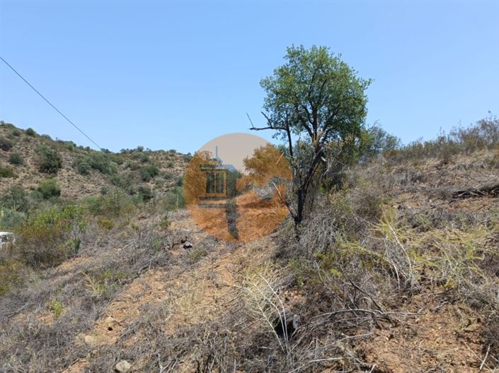 Image No.14-Plot for sale