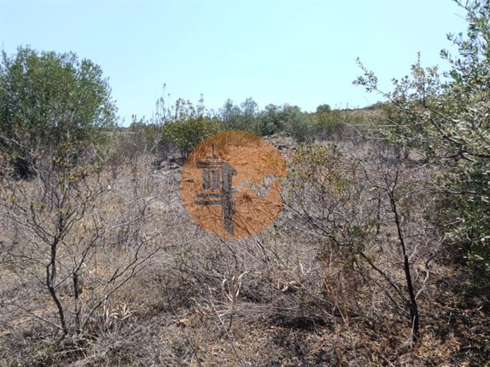 Image No.24-Plot for sale