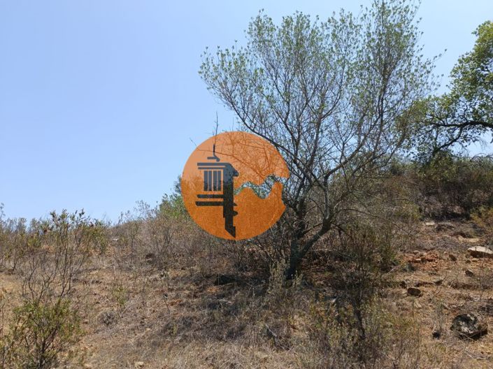 Image No.28-Plot for sale