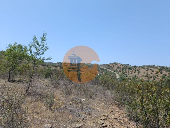 Image No.32-Plot for sale