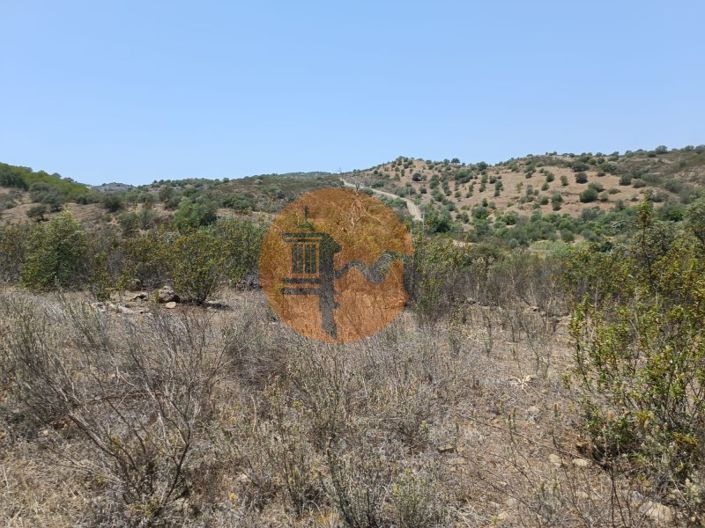 Image No.37-Plot for sale