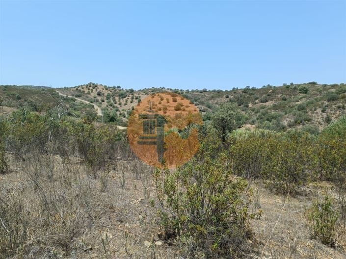 Image No.43-Plot for sale