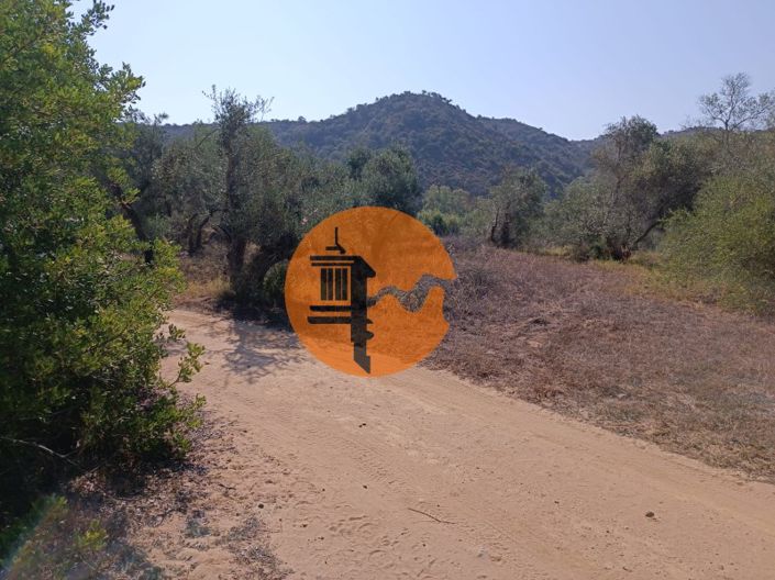 Image No.13-Plot for sale