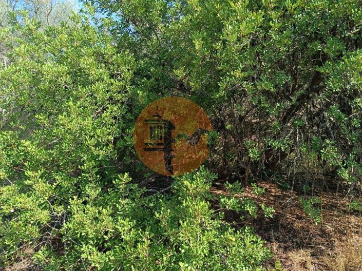 Image No.24-Plot for sale