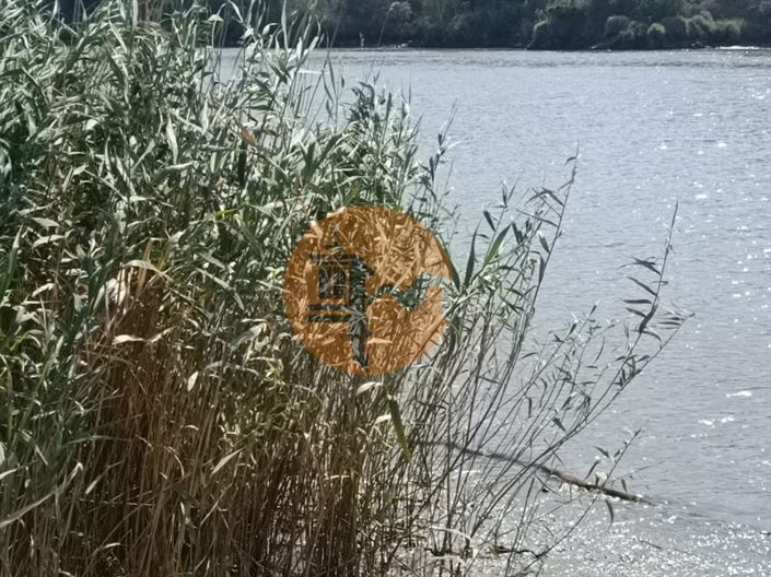 Image No.3-Plot for sale