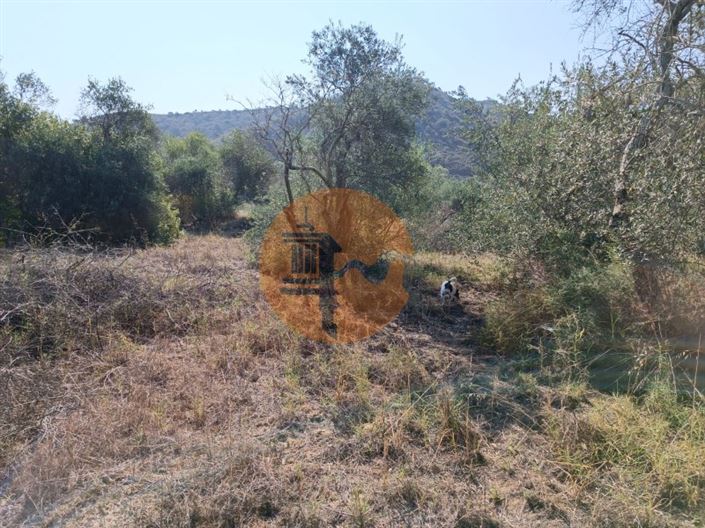 Image No.8-Plot for sale