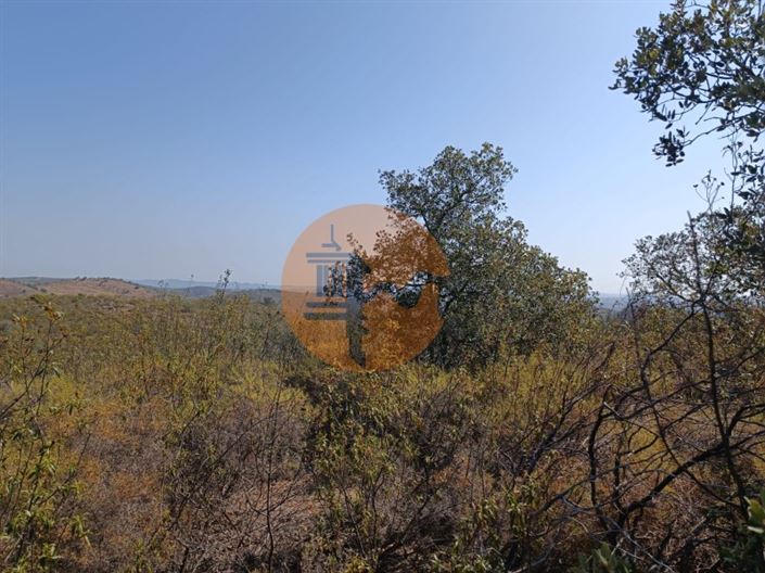 Image No.1-Plot for sale