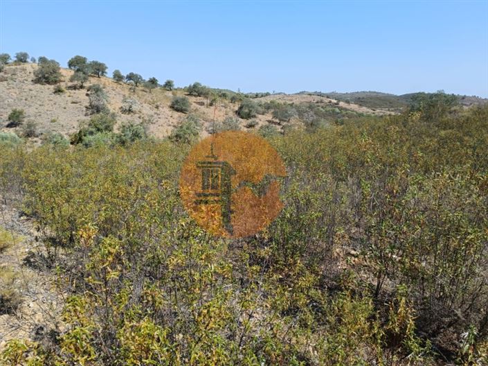 Image No.10-Plot for sale