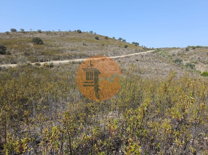 Image No.17-Plot for sale