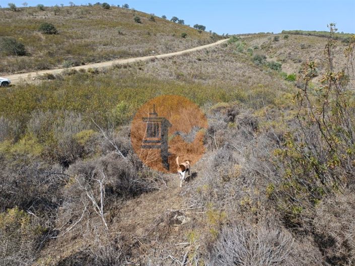 Image No.21-Plot for sale