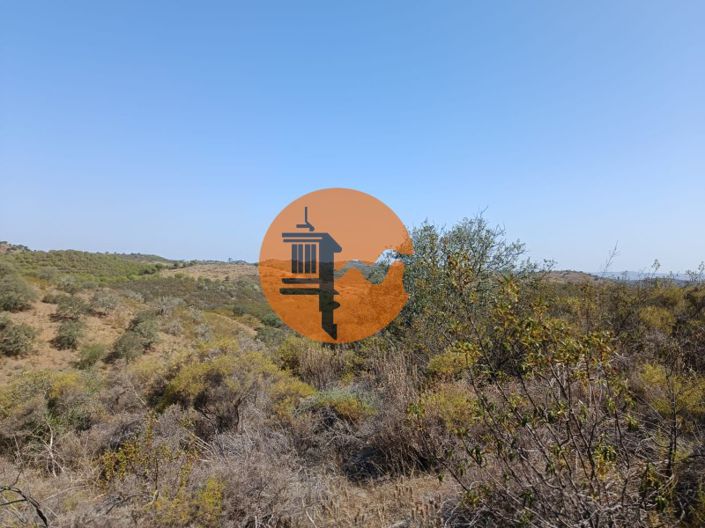 Image No.5-Plot for sale