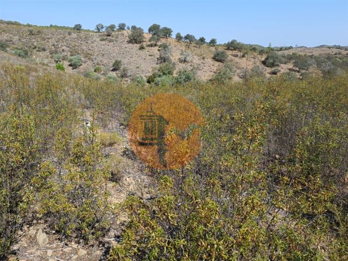 Image No.9-Plot for sale