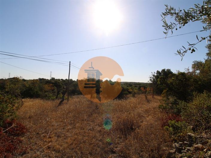 Image No.2-Terrain à vendre à Faro City
