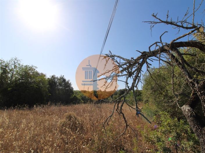 Image No.10-Terrain à vendre à Faro City