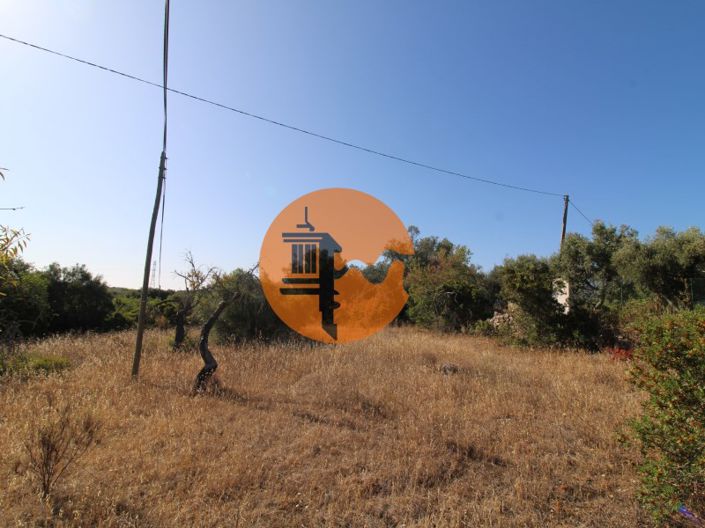 Image No.4-Terrain à vendre à Faro City