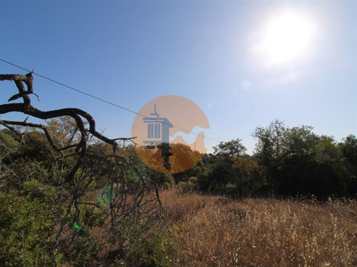 Image No.3-Terrain à vendre à Faro City