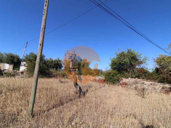 Image No.6-Terrain à vendre à Faro City