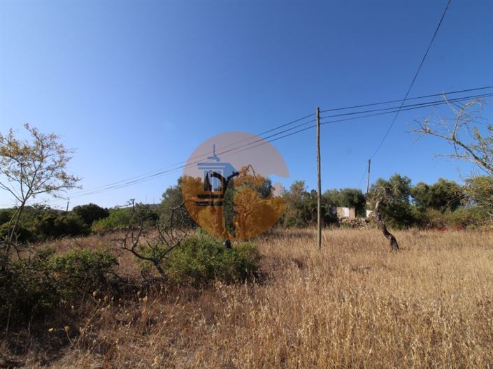 Image No.7-Terrain à vendre à Faro City