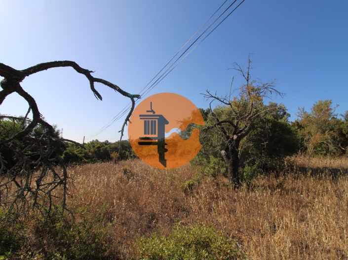 Image No.8-Terrain à vendre à Faro City