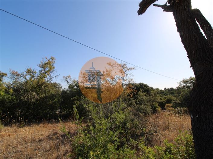 Image No.9-Terrain à vendre à Faro City