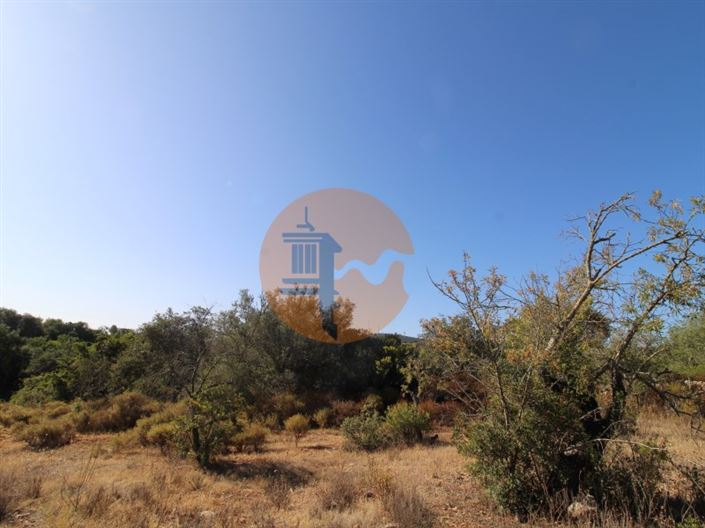 Image No.2-Terrain à vendre à Faro City