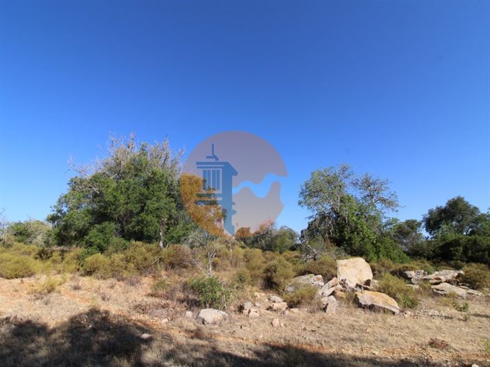 Image No.17-Terrain à vendre à Faro City