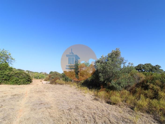 Image No.7-Terrain à vendre à Faro City