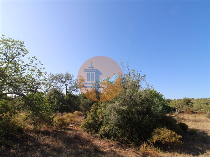 Image No.3-Terrain à vendre à Faro City