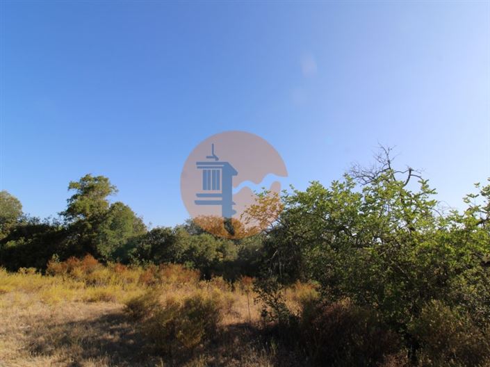 Image No.4-Terrain à vendre à Faro City