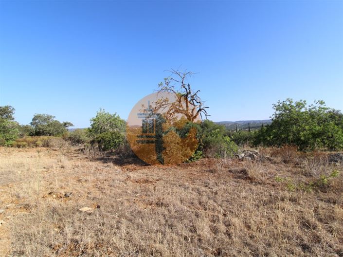 Image No.14-Terrain à vendre à Faro City